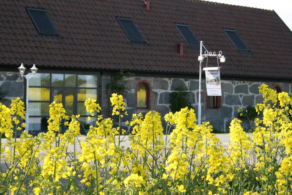 Blasingsborgs Gardshotell Pa Oesterlen Kivik Exteriér fotografie